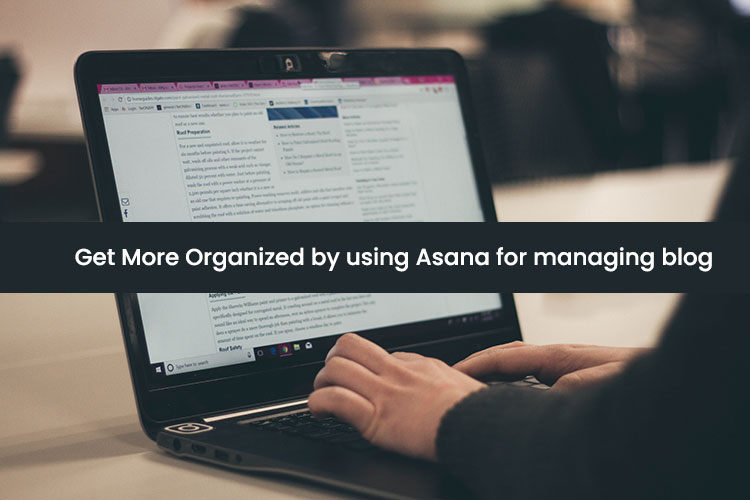 Get More Organized by using Asana for managing blog