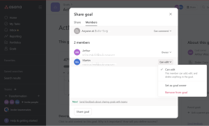 Asana Goal Team Sharing
