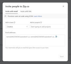 Invite team with email