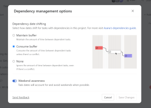 Dependency Management Options