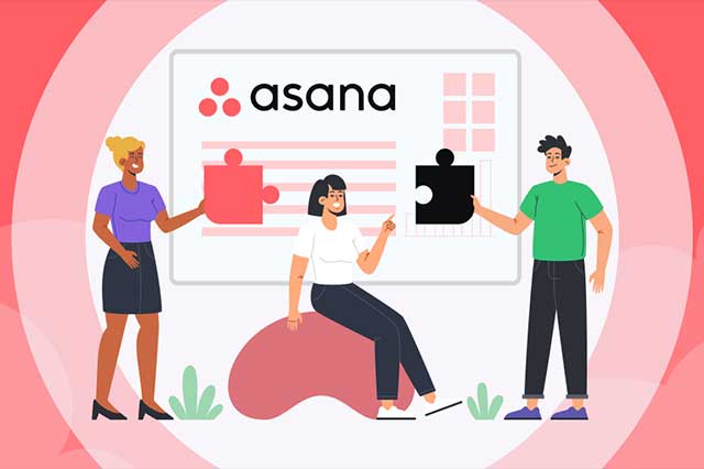 Overview of Asana