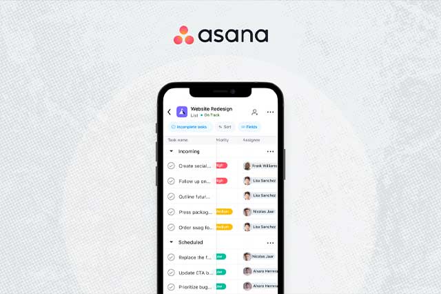 Asana Pros