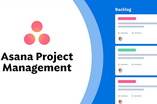 Using Asana for Project Management 