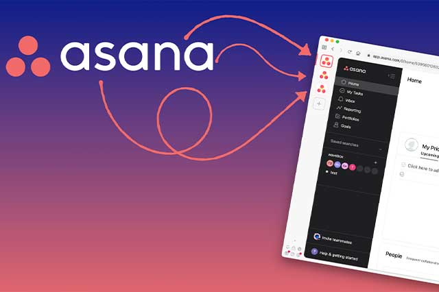 Key Features of Asana 